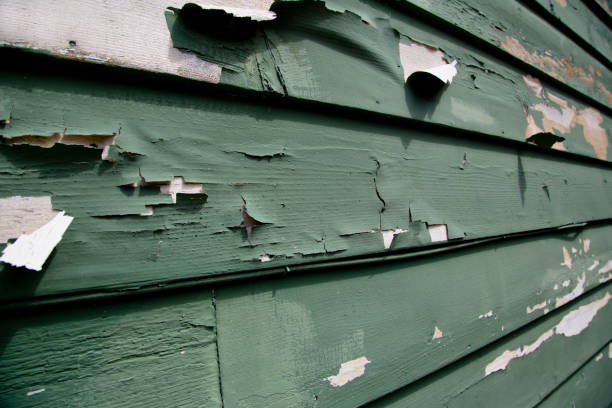 Trusted Ridley Park, PA Junk Removal Experts
